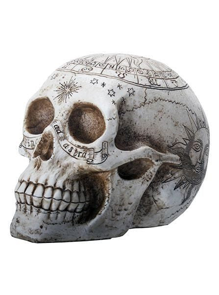 Astrology Skull by Summit Collection - www.inkedshop.com