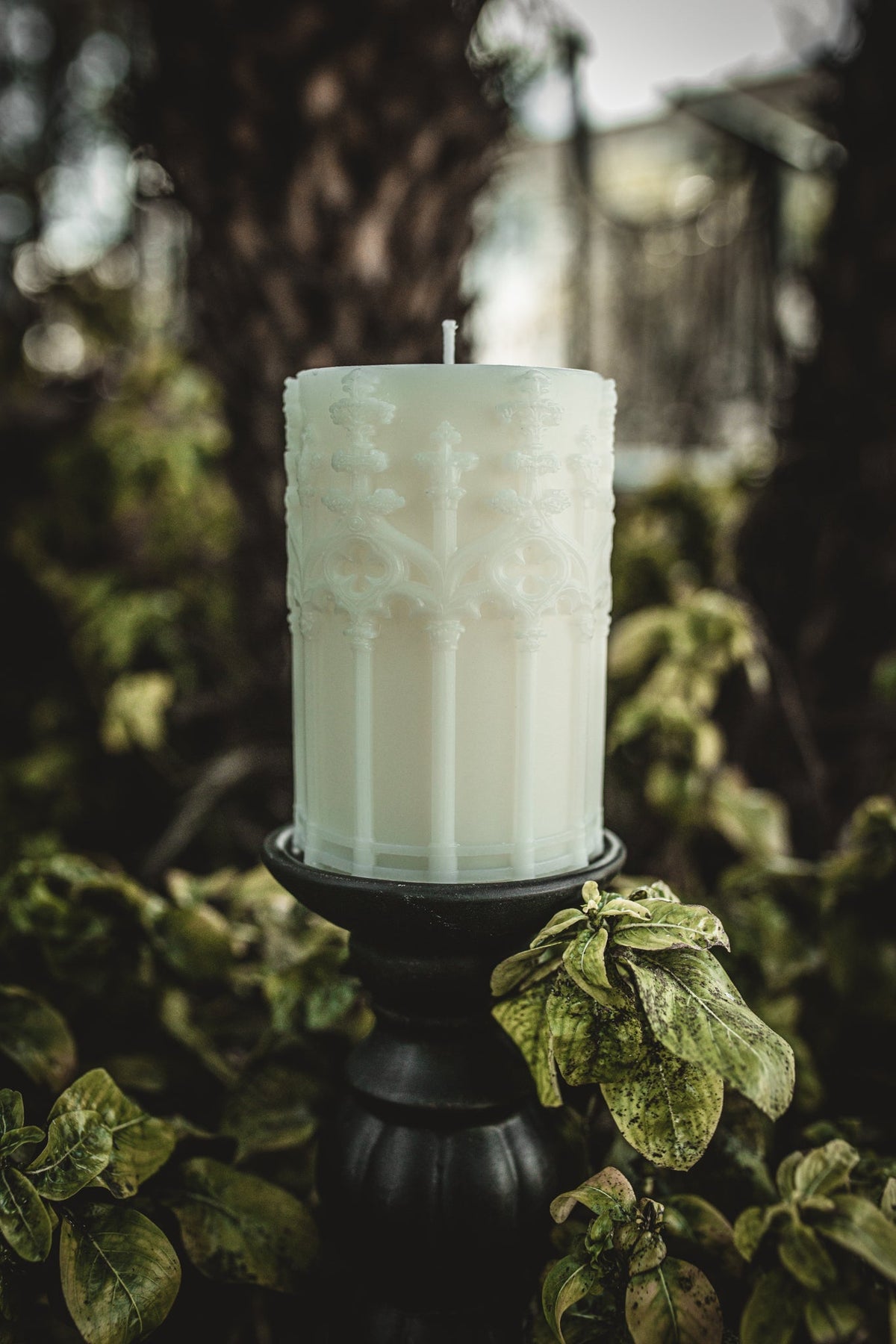 Cemetery Walks Candle