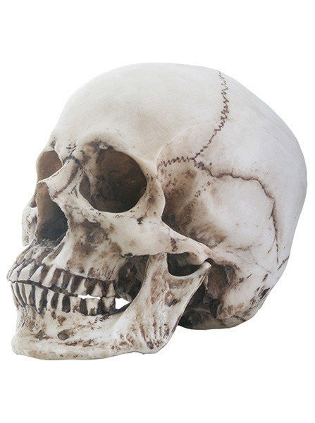 Skull Head Statue by Summit Collection - www.inkedshop.com