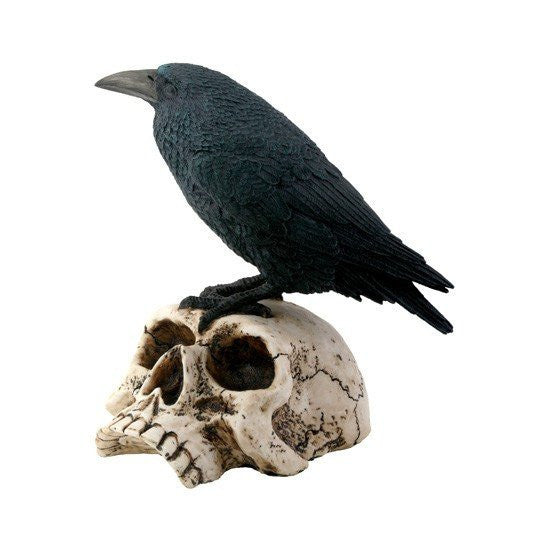Raven on Skull Statuette