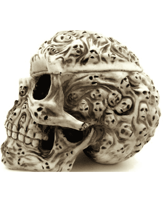 Spirit Skull by Pacific Trading | Skull Shaped Bowl - Inked Shop